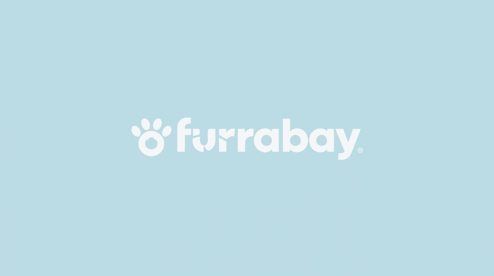 FURRABAY