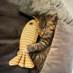 New pet toys, cat toys, linen fish pillows, self hi cat mint doll, pet supplies